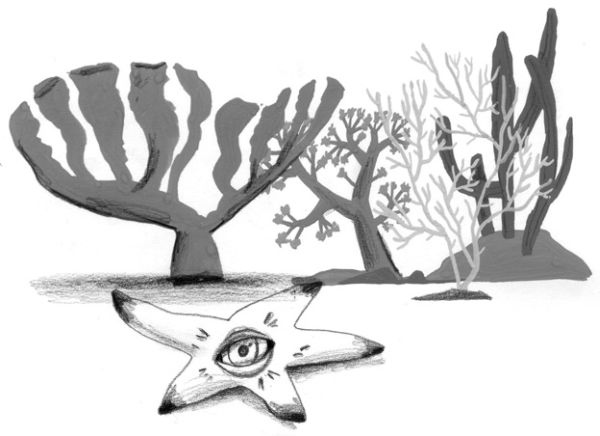 Иллюстрация к книге — Девочки-колдуньи [i_035.jpg]