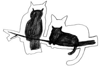 Иллюстрация к книге — Девочки-колдуньи [i_054.jpg]