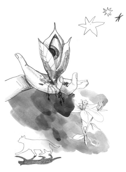 Иллюстрация к книге — Девочки-колдуньи [i_079.jpg]