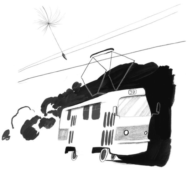 Иллюстрация к книге — Девочки-колдуньи [i_081.jpg]