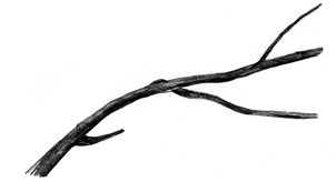 Иллюстрация к книге — Девочки-колдуньи [i_094.jpg]