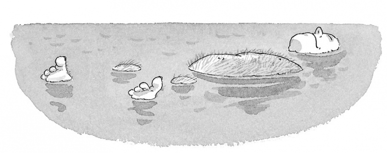 Иллюстрация к книге — Чудовище доктора Франкенштейна [i_021.jpg]