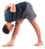 Иллюстрация к книге — Силовая йога. Энергия. Концентрация. Баланс [i_156.jpg]