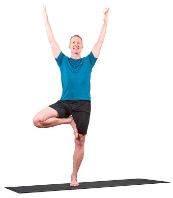 Иллюстрация к книге — Силовая йога. Энергия. Концентрация. Баланс [i_172.jpg]