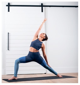 Иллюстрация к книге — Силовая йога. Энергия. Концентрация. Баланс [i_196.jpg]