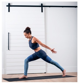 Иллюстрация к книге — Силовая йога. Энергия. Концентрация. Баланс [i_217.jpg]