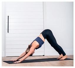 Иллюстрация к книге — Силовая йога. Энергия. Концентрация. Баланс [i_355.jpg]