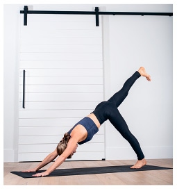 Иллюстрация к книге — Силовая йога. Энергия. Концентрация. Баланс [i_366.jpg]