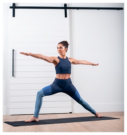 Иллюстрация к книге — Силовая йога. Энергия. Концентрация. Баланс [i_399.jpg]