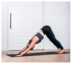 Иллюстрация к книге — Силовая йога. Энергия. Концентрация. Баланс [i_427.jpg]