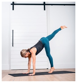 Иллюстрация к книге — Силовая йога. Энергия. Концентрация. Баланс [i_473.jpg]