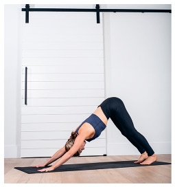 Иллюстрация к книге — Силовая йога. Энергия. Концентрация. Баланс [i_474.jpg]