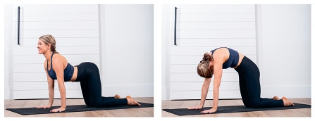 Иллюстрация к книге — Силовая йога. Энергия. Концентрация. Баланс [i_531.jpg]