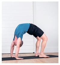 Иллюстрация к книге — Силовая йога. Энергия. Концентрация. Баланс [i_580.jpg]