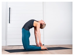 Иллюстрация к книге — Силовая йога. Энергия. Концентрация. Баланс [i_614.jpg]