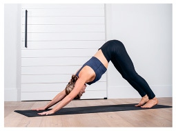 Иллюстрация к книге — Силовая йога. Энергия. Концентрация. Баланс [i_652.jpg]