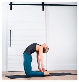 Иллюстрация к книге — Силовая йога. Энергия. Концентрация. Баланс [i_657.jpg]