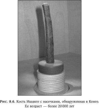 Иллюстрация к книге — Ум в движении. Как действие формирует мысль [i_015.jpg]