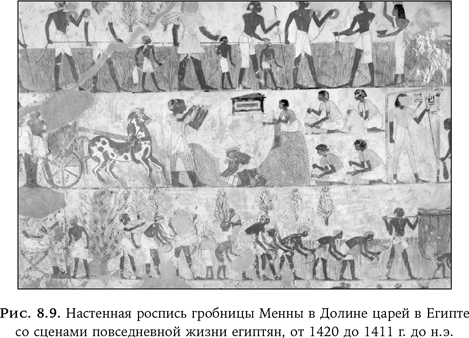 Иллюстрация к книге — Ум в движении. Как действие формирует мысль [i_018.jpg]