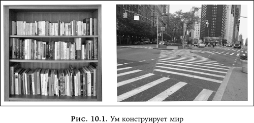 Иллюстрация к книге — Ум в движении. Как действие формирует мысль [i_036.jpg]