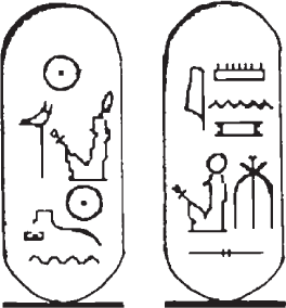 Иллюстрация к книге — Затерянный мир Дарвина. Тайная история жизни на Земле [i_003.jpg]