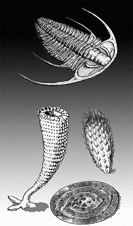 Иллюстрация к книге — Затерянный мир Дарвина. Тайная история жизни на Земле [i_004.jpg]