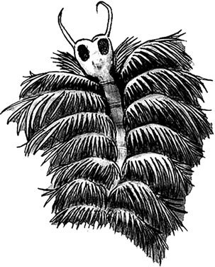 Иллюстрация к книге — Затерянный мир Дарвина. Тайная история жизни на Земле [i_006.jpg]