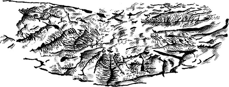 Иллюстрация к книге — Затерянный мир Дарвина. Тайная история жизни на Земле [i_020.jpg]