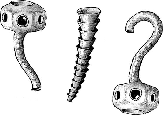 Иллюстрация к книге — Затерянный мир Дарвина. Тайная история жизни на Земле [i_024.jpg]