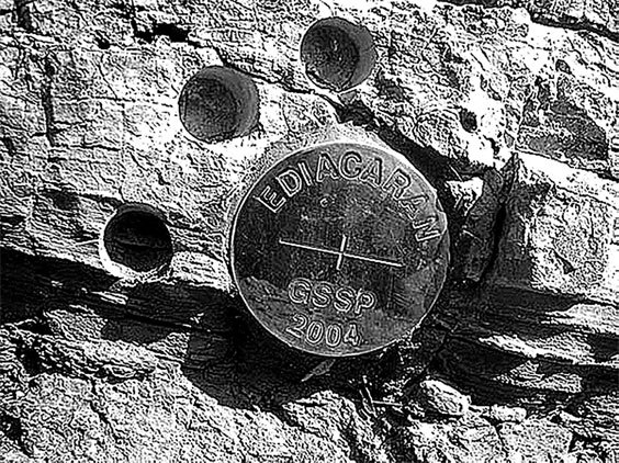 Иллюстрация к книге — Затерянный мир Дарвина. Тайная история жизни на Земле [i_026.jpg]