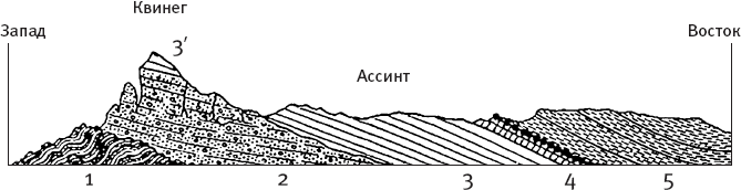 Иллюстрация к книге — Затерянный мир Дарвина. Тайная история жизни на Земле [i_029.jpg]