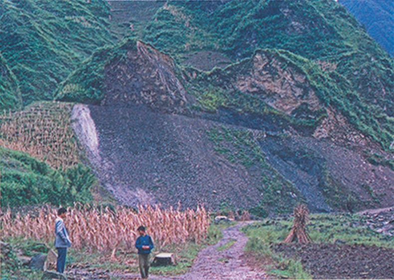 Иллюстрация к книге — Затерянный мир Дарвина. Тайная история жизни на Земле [i_035.jpg]