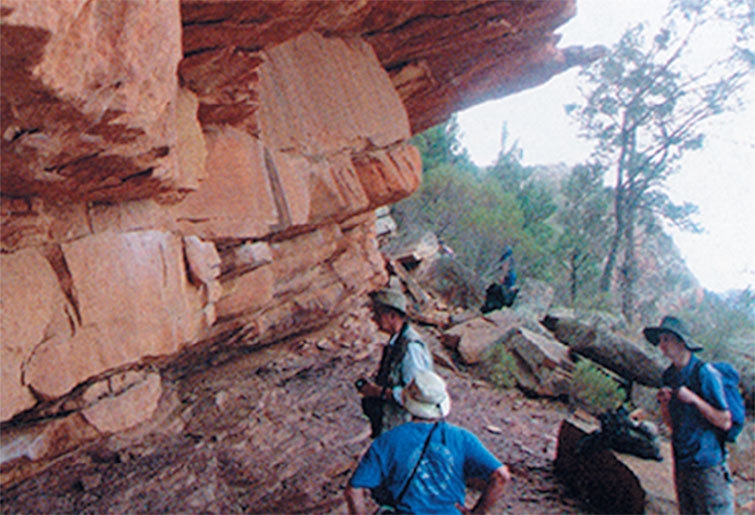 Иллюстрация к книге — Затерянный мир Дарвина. Тайная история жизни на Земле [i_042.jpg]
