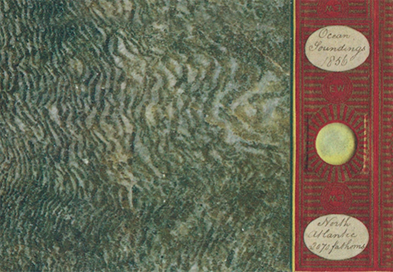 Иллюстрация к книге — Затерянный мир Дарвина. Тайная история жизни на Земле [i_043.jpg]