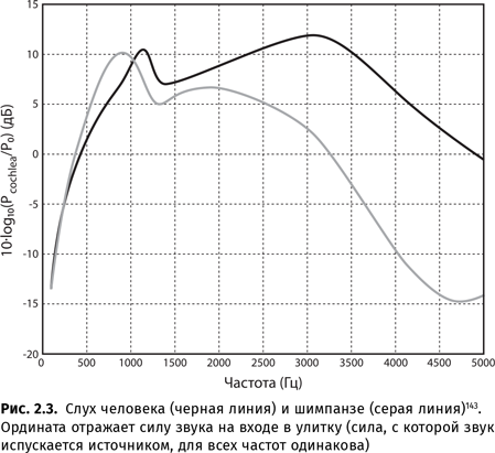 Иллюстрация к книге — Происхождение языка. Факты, исследования, гипотезы [i_032.jpg]