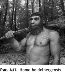 Иллюстрация к книге — Происхождение языка. Факты, исследования, гипотезы [i_053.jpg]