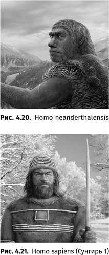 Иллюстрация к книге — Происхождение языка. Факты, исследования, гипотезы [i_056.jpg]