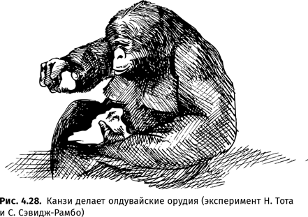 Иллюстрация к книге — Происхождение языка. Факты, исследования, гипотезы [i_063.jpg]