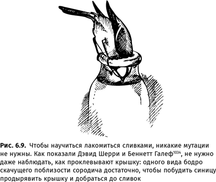 Иллюстрация к книге — Происхождение языка. Факты, исследования, гипотезы [i_102.jpg]