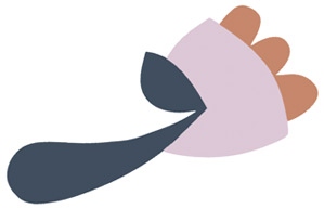 Иллюстрация к книге — С чистого лица. Техники ухода за кожей на все случаи жизни [i_002.jpg]