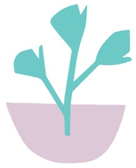 Иллюстрация к книге — С чистого лица. Техники ухода за кожей на все случаи жизни [i_042.jpg]