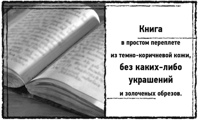 Иллюстрация к книге — Дневник призрака [i_002.jpg]