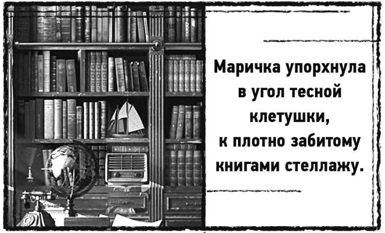 Иллюстрация к книге — Дневник призрака [i_013.jpg]