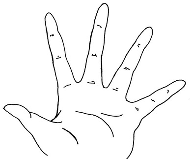 Иллюстрация к книге — Жизнь на ладони. Хиромантия как инструмент самопознания [i_001.jpg]