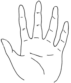 Иллюстрация к книге — Жизнь на ладони. Хиромантия как инструмент самопознания [i_003.jpg]