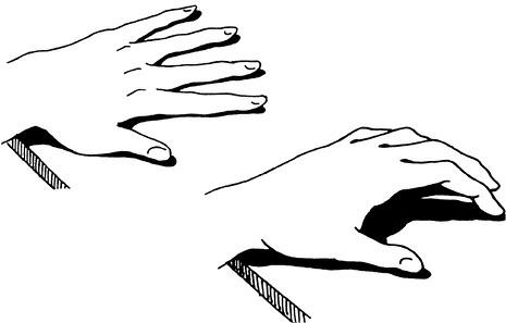 Иллюстрация к книге — Жизнь на ладони. Хиромантия как инструмент самопознания [i_006.jpg]