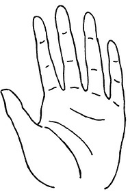 Иллюстрация к книге — Жизнь на ладони. Хиромантия как инструмент самопознания [i_016.jpg]