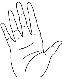 Иллюстрация к книге — Жизнь на ладони. Хиромантия как инструмент самопознания [i_017.jpg]