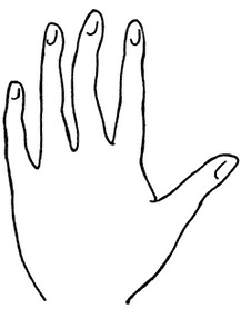 Иллюстрация к книге — Жизнь на ладони. Хиромантия как инструмент самопознания [i_018.jpg]