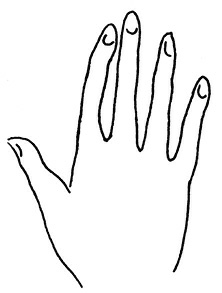 Иллюстрация к книге — Жизнь на ладони. Хиромантия как инструмент самопознания [i_019.jpg]